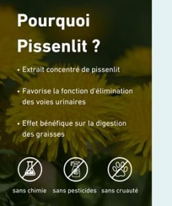 Pissenlit extrait 250 mg BIO BIO, 90 gélules